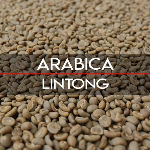 Specialty Lintong Arabica Coffees