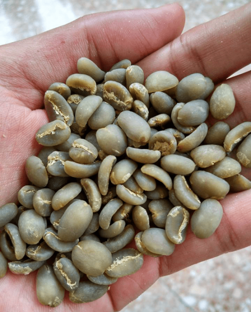 coffee beans wholesale supplier