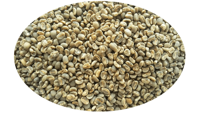 Coffee bean supplier