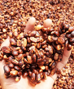 honey specialy coffee beans