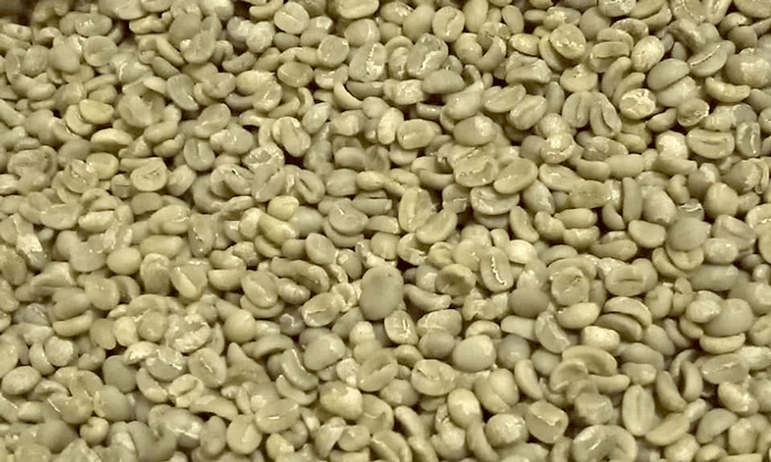 kerinci bulk coffee beans