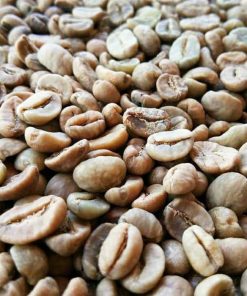 Gayo luwak coffee beans