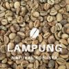 Lampung robusta coffee bean