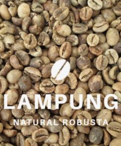 Lampung robusta coffee bean