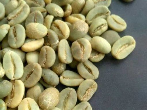 Natural process of coffee green beans