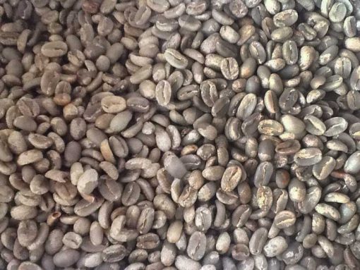 Wamena Arabica Coffee Bean