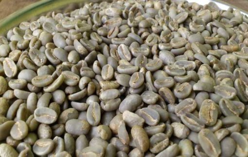 Wamena Arabica Coffee Green Bean