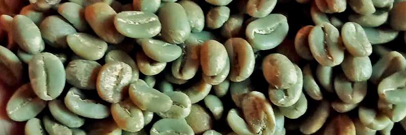 Bajawa arabica coffee beans
