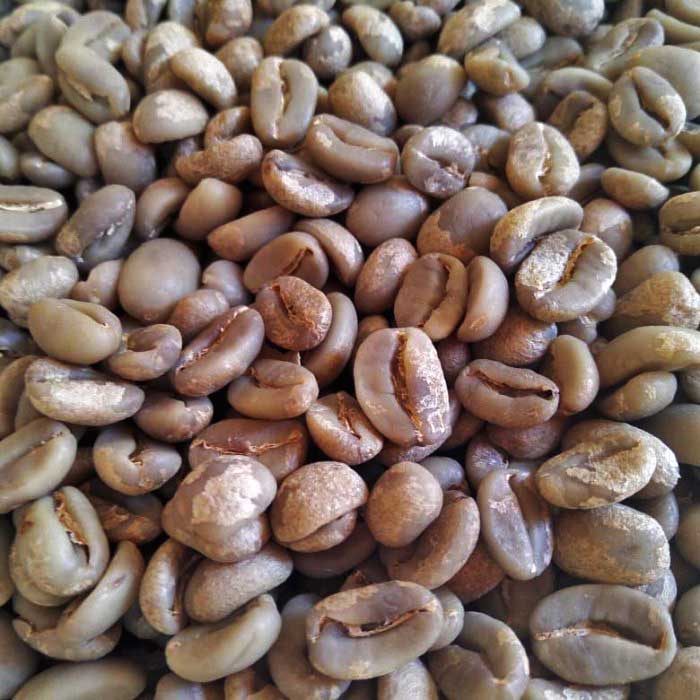 Bali kintamani coffee beans