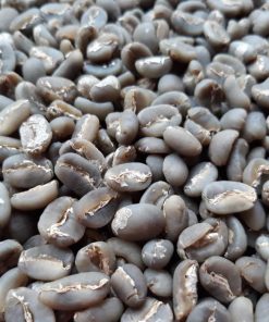 gayo semi wash arabica coffee green bean