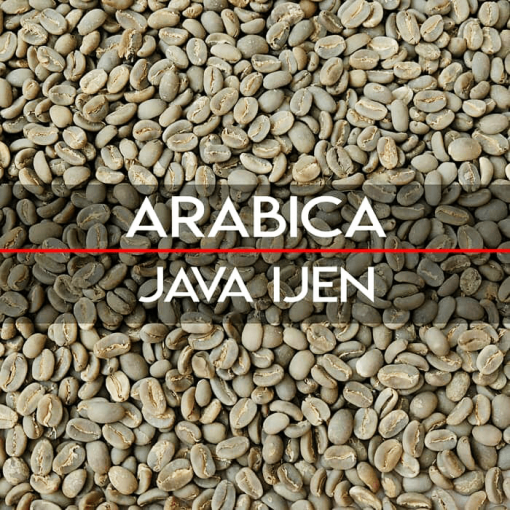 Java arabica coffee beans