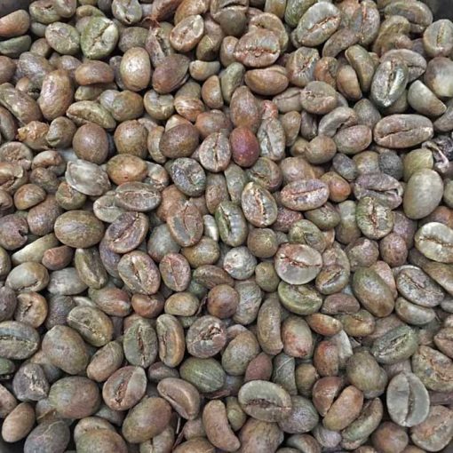 Java robusta coffee beans
