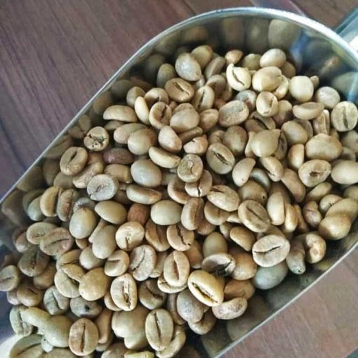 Java Robusta Coffees