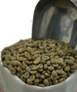 Java robusta unroasted coffee beans