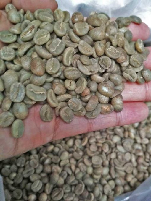 Java unroasted arabica coffee