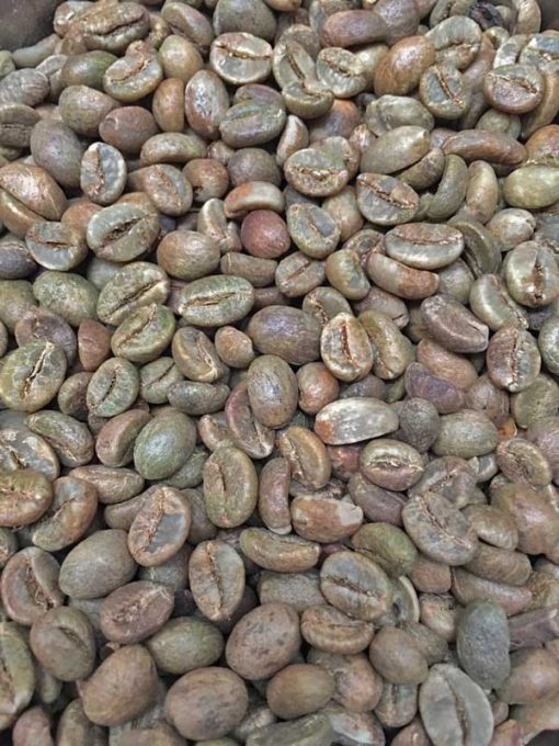 Javanese robusta coffee beans