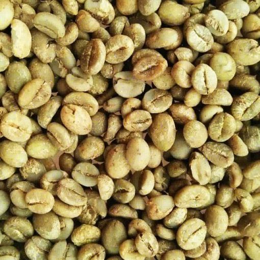 Sidikalang robusta coffee bean