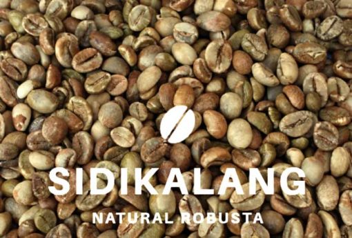 Sidikalang robusta coffee beans