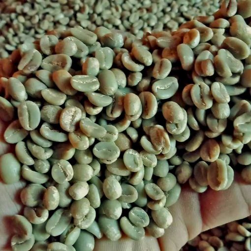 Specialty bajawa arabica coffee beans