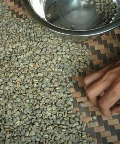 toraja kalosi coffee green bean