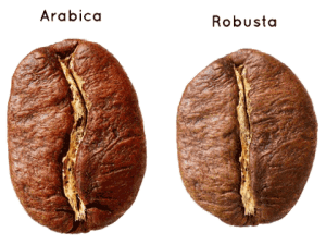 Roasted arabica robusta-coffee