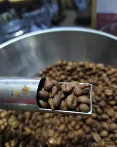 roasted coffee