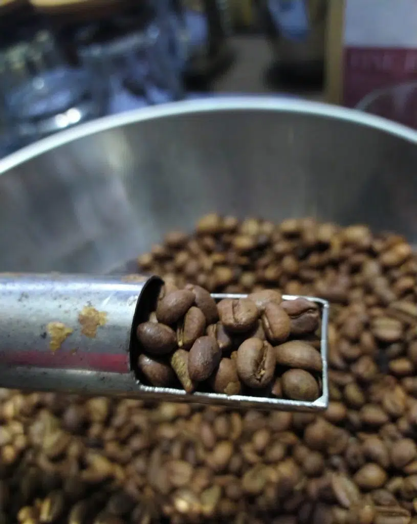 roasted coffee