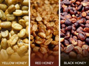 what is honey coffee