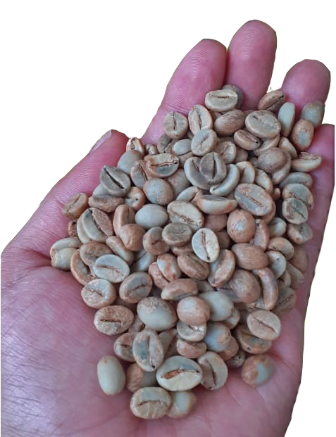 Java Robusta Coffee Grade 1