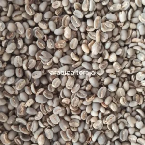 Indonesian Coffee Supplier