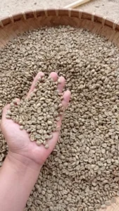 specialty coffee