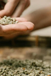 where to buy green coffee beans for roasting