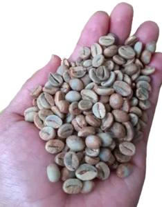 Robusta Coffee Beans Grade 1