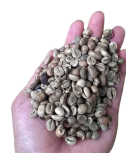 Robusta Coffee Beans Grade 3